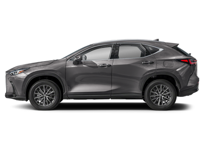 2024 Lexus NX 250