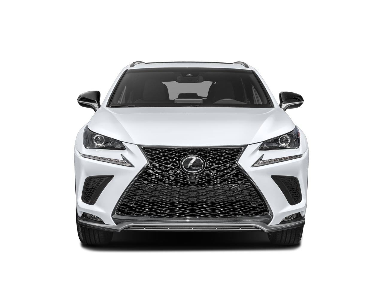2020 Lexus NX 300 F SPORT