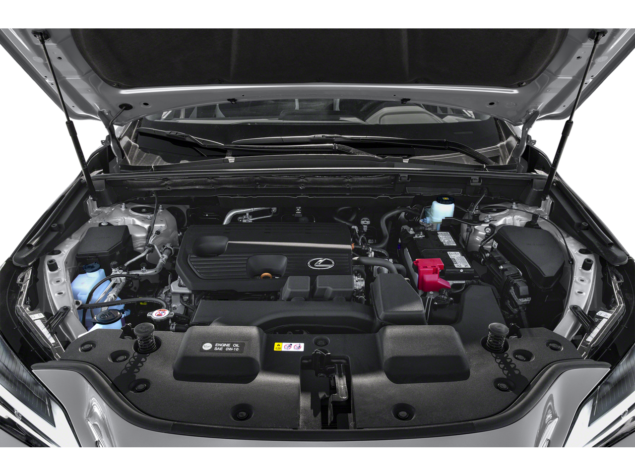 2024 Lexus NX 250