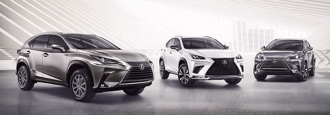 Silver, White and Gray 2020 Lexus NX Models on Light Background