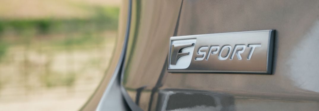 Close Up of 2020 Lexus RX F Sport Exterior Badge