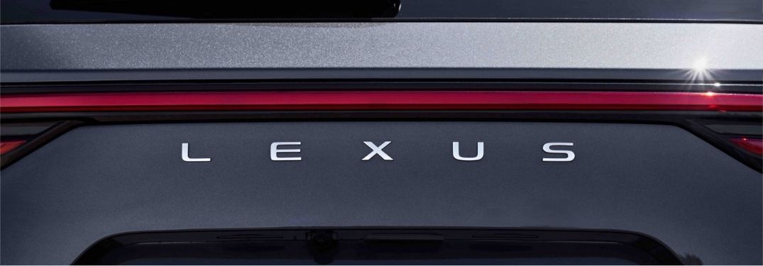 Close Up of 2022 Lexus NX Rear Badge