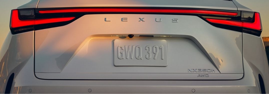 2022 Lexus NX Rear Exterior and Badge