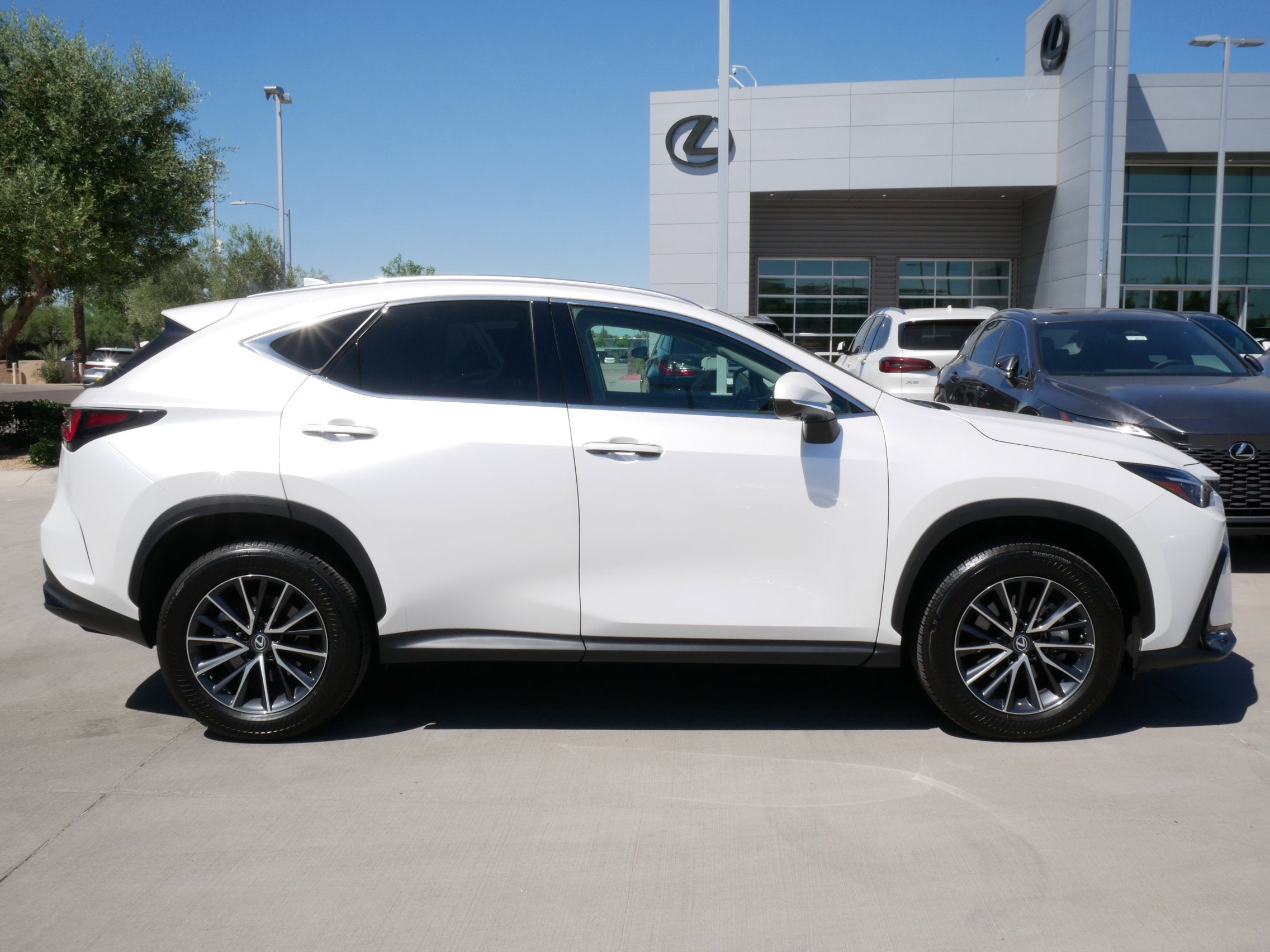 2025 Lexus NX 350 PREMIUM