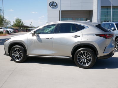 2025 Lexus NX 350h Premium