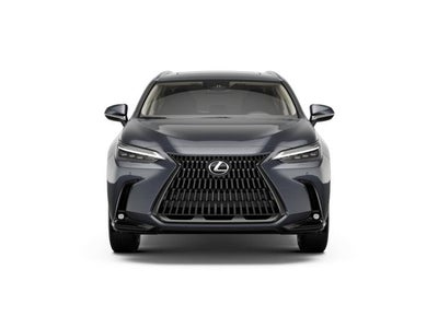 2026 Lexus NX 350 LUXURY AWD