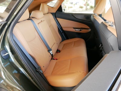 2023 Lexus NX 350h Luxury