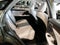 2022 Lexus RX 350 350