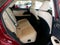 2021 Lexus RX 350 350