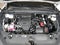 2024 Lexus TX TX 350