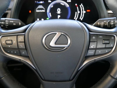 2025 Lexus UX 300h 300h