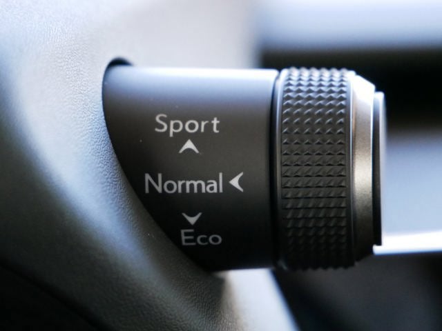 2025 Lexus UX 300h 300h