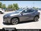 2025 Lexus UX UX 300h