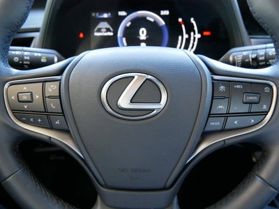 2025 Lexus UX 300h BASE