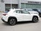 2025 Lexus UX 300h UX 300h