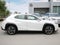 2025 Lexus UX 300h UX 300h