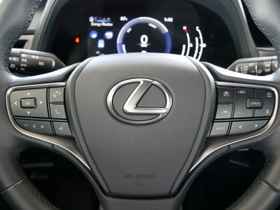 2025 Lexus UX 300h UX 300h