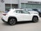 2025 Lexus UX 300h UX 300h