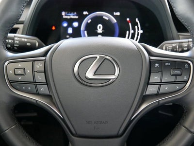 2025 Lexus UX 300h UX 300h
