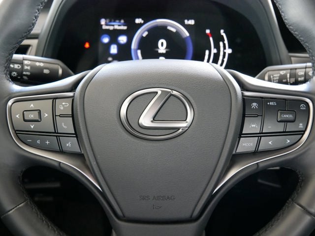 2025 Lexus UX 300h UX 300h