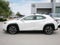 2025 Lexus UX 300h UX 300h