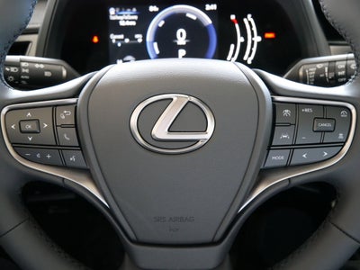 2026 Lexus UX 300h 300h