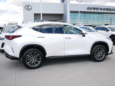 2025 Lexus NX 250