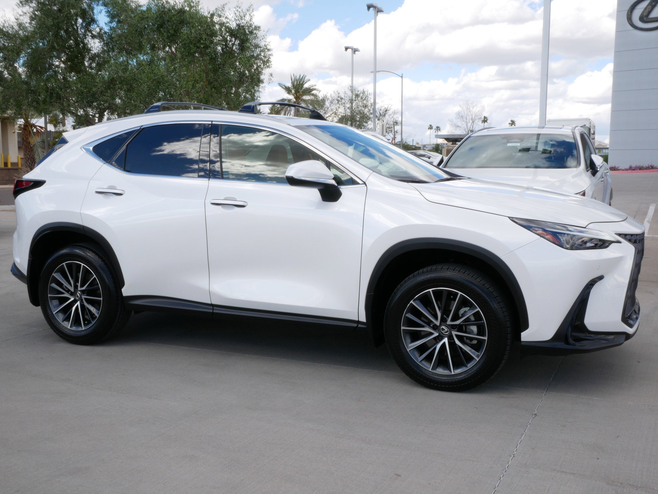 2025 Lexus NX 250