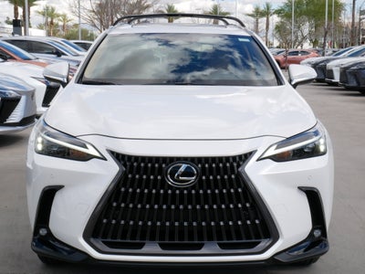 2025 Lexus NX 250