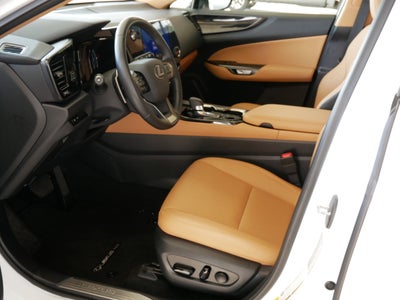 2025 Lexus NX 250