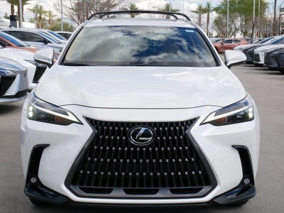 2025 Lexus NX 250 250