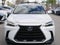 2025 Lexus NX 250 250