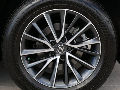 2025 Lexus NX 250 250