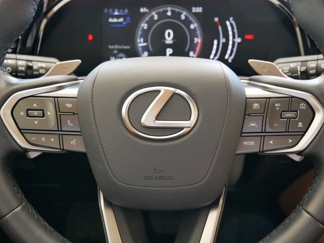 2025 Lexus NX 250 250