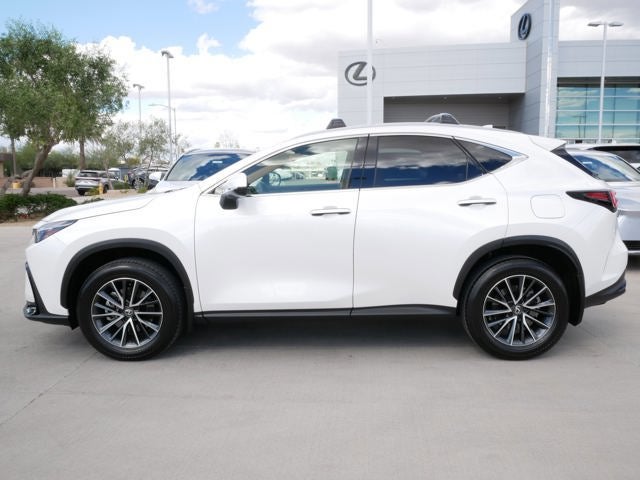 2025 Lexus NX 250 250
