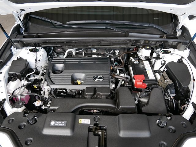 2025 Lexus NX 250 250