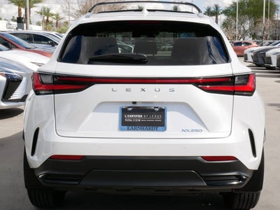 2025 Lexus NX 250 250