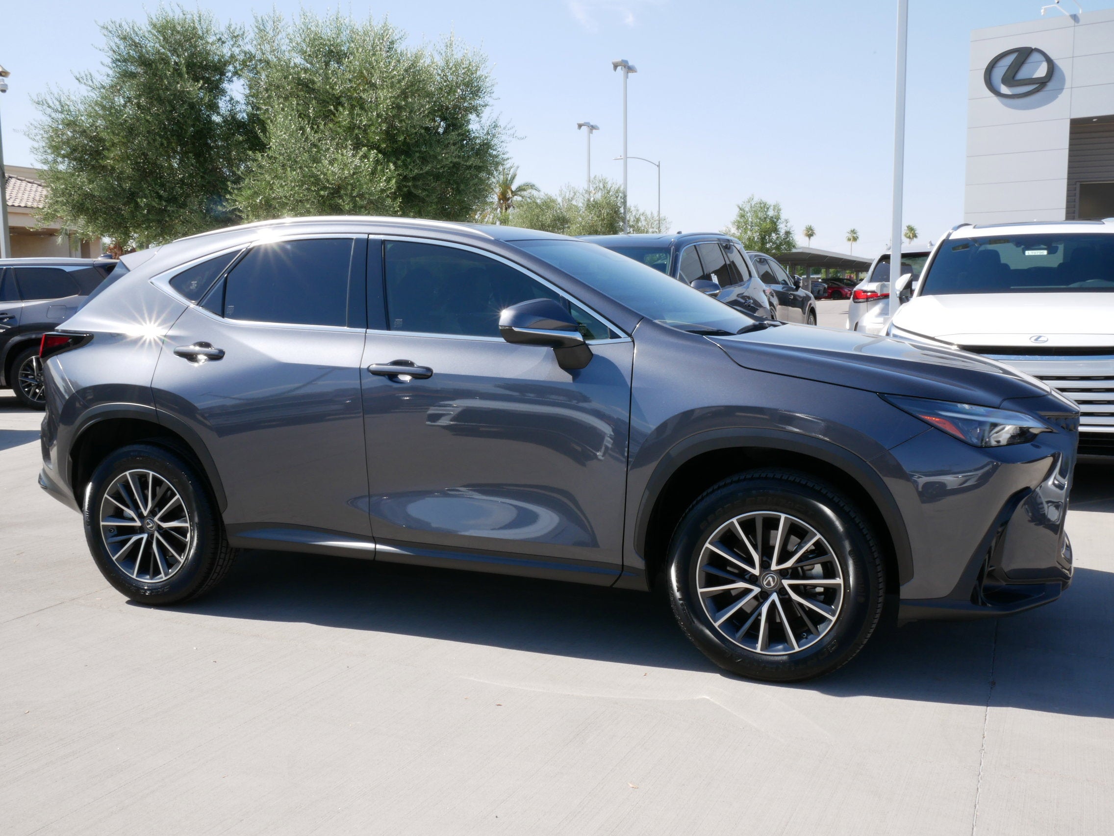 2024 Lexus NX 250