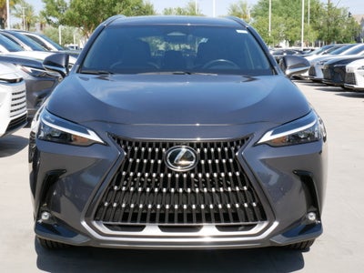 2024 Lexus NX 250