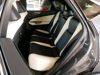 2024 Lexus NX 250