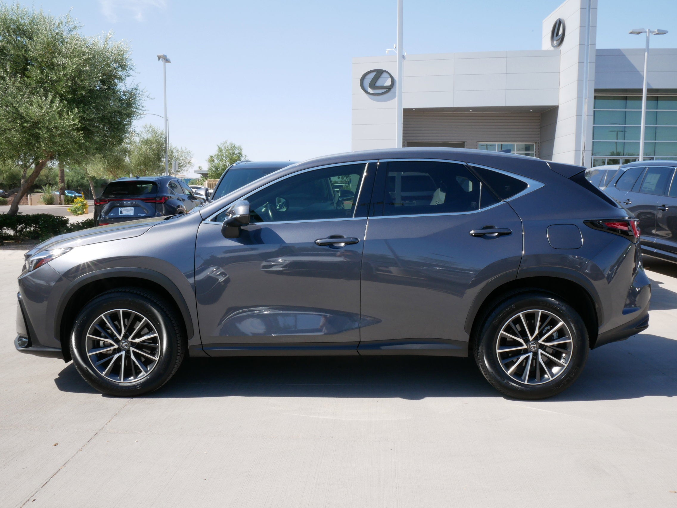 2024 Lexus NX 250