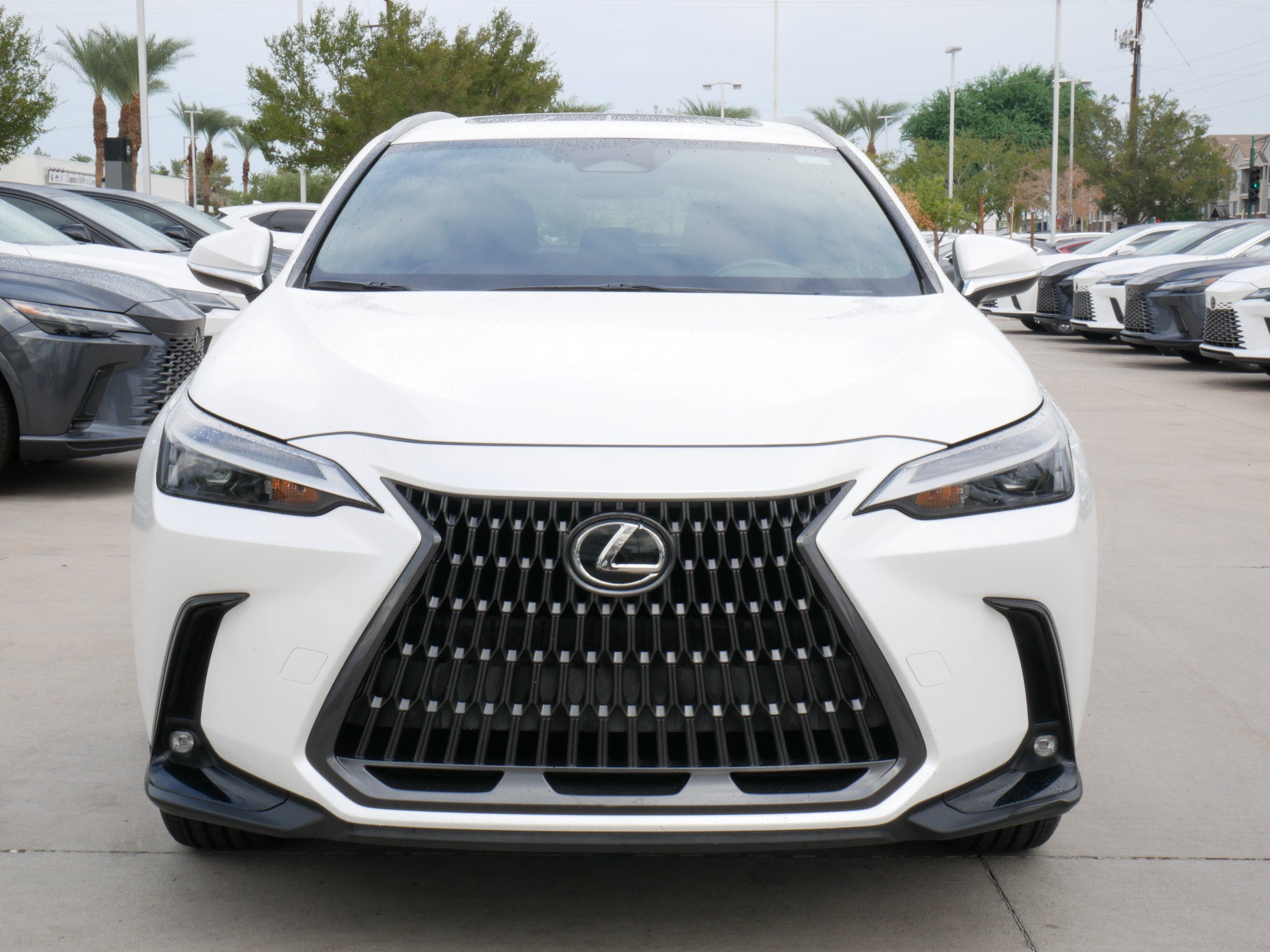 2022 Lexus NX 350 AWD