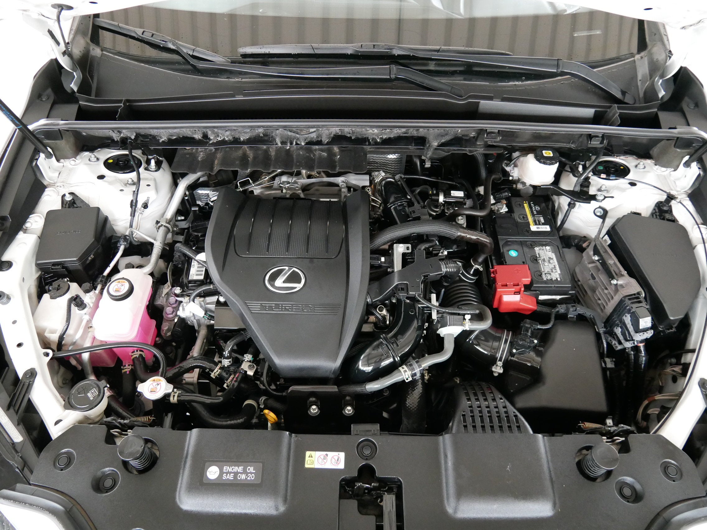 2022 Lexus NX 350 AWD