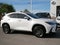 2024 Lexus NX 350