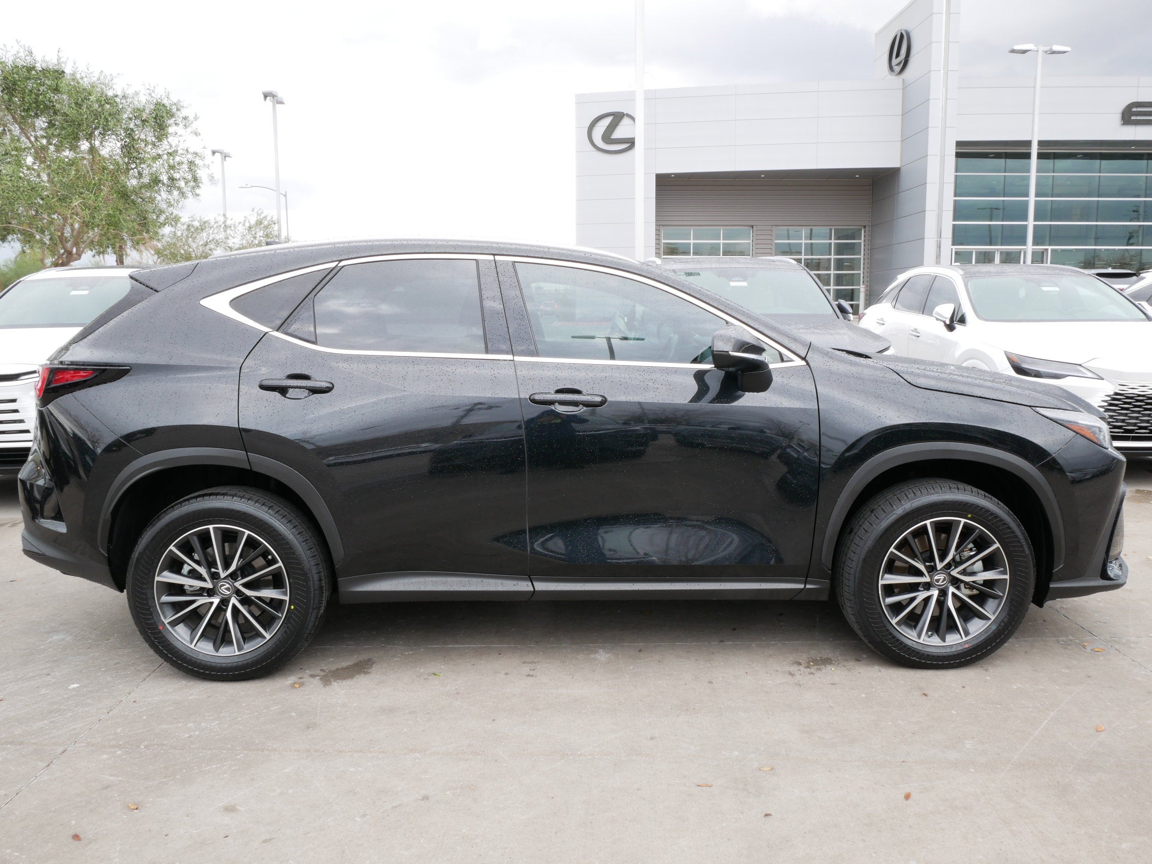 2022 Lexus NX 350h AWD