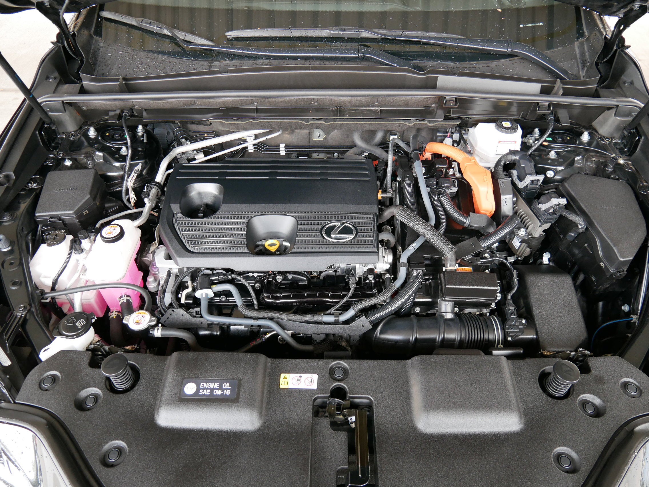 2022 Lexus NX 350h AWD