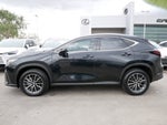 2022 Lexus NX 350h AWD