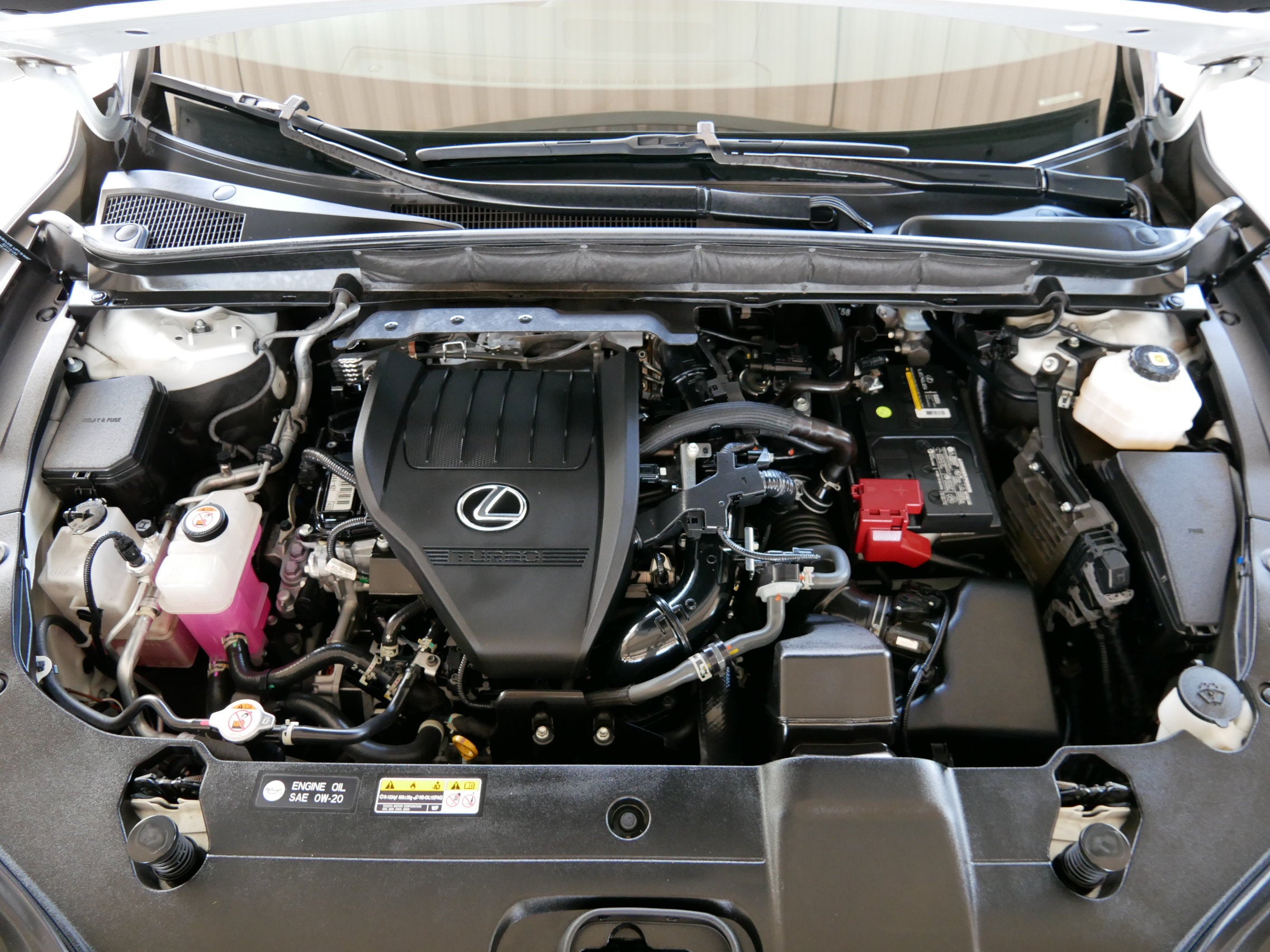 2023 Lexus RX 350 Premium Plus
