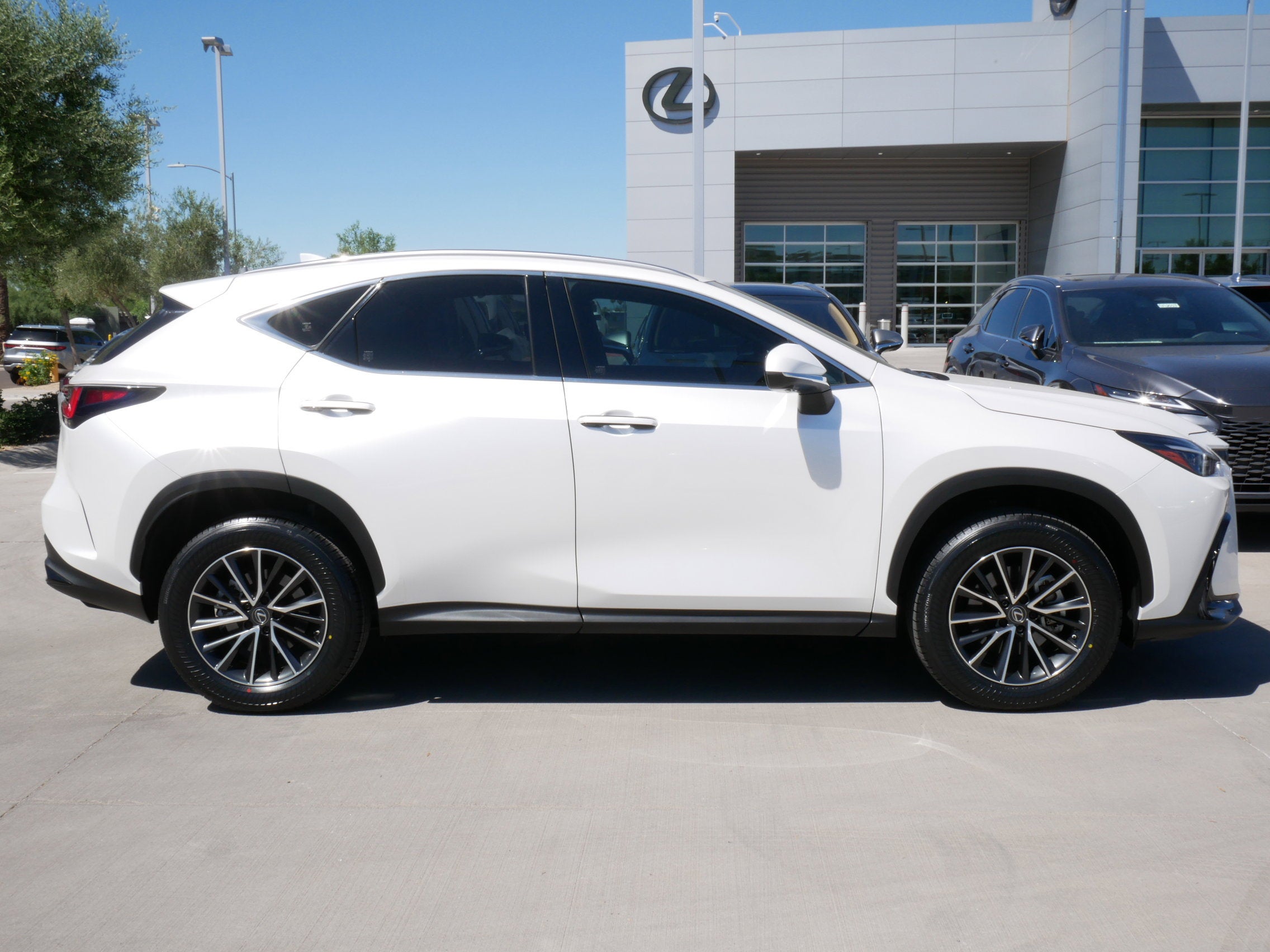 2024 Lexus NX 350 PREMIUM