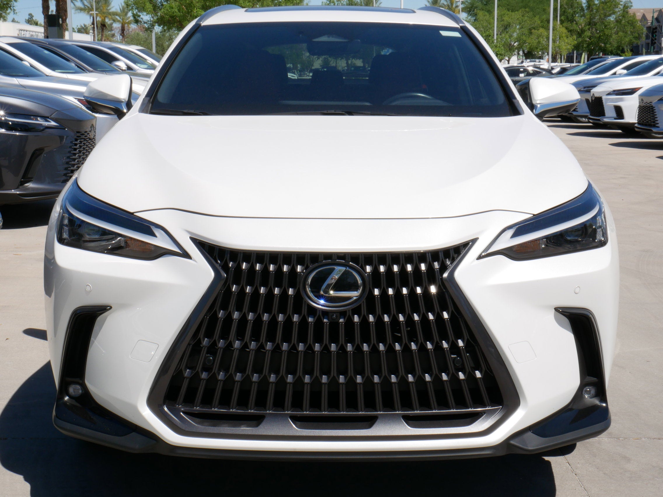 2024 Lexus NX 350 PREMIUM